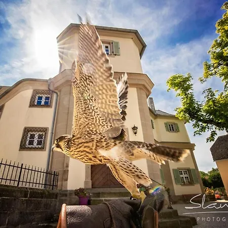 לינה וארוחת בוקר Schloss Falkenhaus *