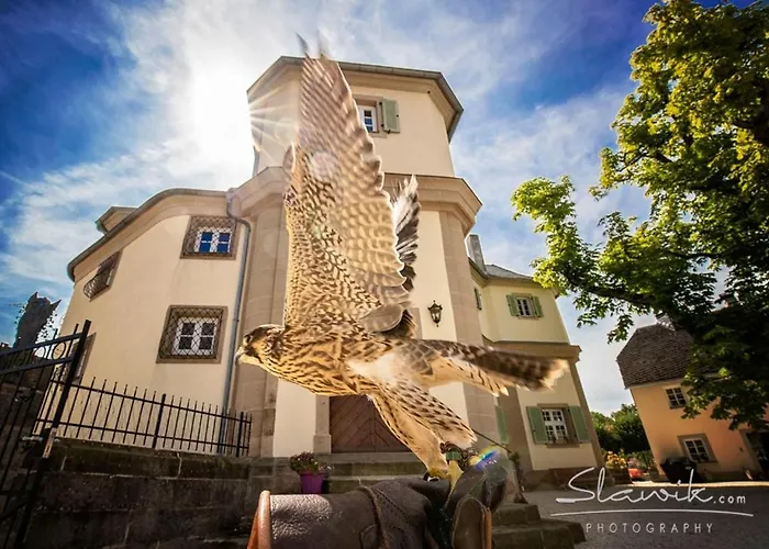 Bed & Breakfast Schloss Falkenhaus *